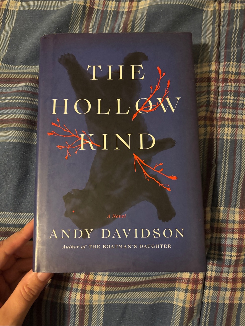 The Hollow Kind by Andy Davidson - Blue Hardcover Novel